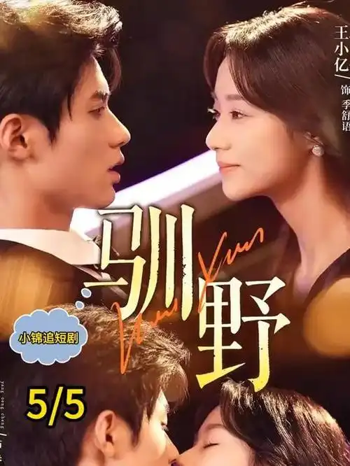 无岸之海医疗电视剧全集在线观看